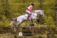 Newtownbarry Willow Stephan DUBSKY Luhmuehlen 2019