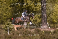 Little Bee 3 Mick SALZMANN Luhmuehlen 2019