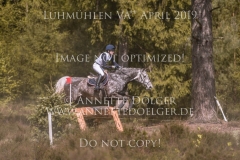 Chaos C Helena Sophie LEWIN Luhmuehlen 2019