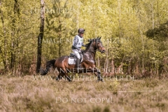 Catch the Cloud MB Elmar LESCH Luhmuehlen 2019