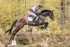 Little Lauries Marco KRUEGER  Luhmuehlen 2019