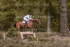 Happy Hippo 6 Cosimo von DUNGERN Luhmuehlen 2019