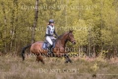 Lex 63 Lilien REICHOLD Luhmuehlen 2019