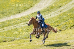 The Irish Factor Michelle DUERST Radolfzell 2019