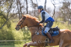 The Irish Factor Michelle DUERST Radolfzell 2019