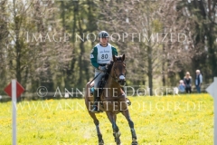 Vertigo du Monoda Sanh LE NGOC MCH Radolfzell 2019