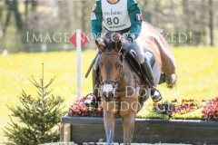 Vertigo du Monoda Sanh LE NGOC MCH Radolfzell 2019