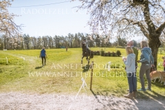 Schoensgreen Continus Christina SCHOENIGER Radolfzell 2019