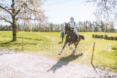 Schoensgreen Continus Christina SCHOENIGER Radolfzell 2019