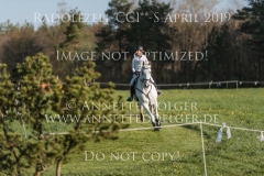 Ballytarsna D Clover Eveline BODENMUELLER Radolfzell 2019