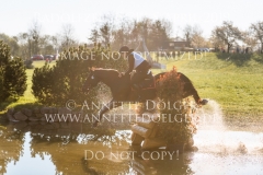 Ballyshan Cooley Andreas GRAFENHOFER Radolfzell 2019