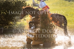 Fly In Sunset Ladina AMMANN Radolfzell 2019