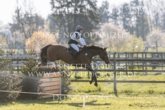 Cookie 53 Madita PFEFFERKORN Radolfzell 2019