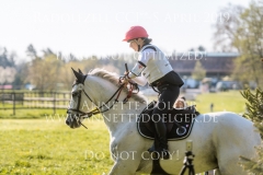 Quougar du ForezMarie LECRIVAIN Radolfzell 2019