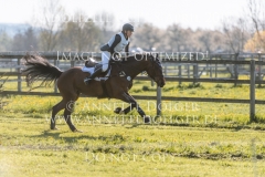 Castagnola Carla HANSER Radolfzell 2019