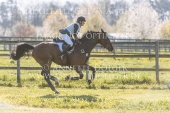 Castagnola Carla HANSER Radolfzell 2019