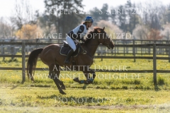 Cooley Cosmopolitan Diamond Sofia SJOBORG Radolfzell 2019