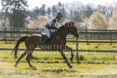 Cooley Cosmopolitan Diamond Sofia SJOBORG Radolfzell 2019