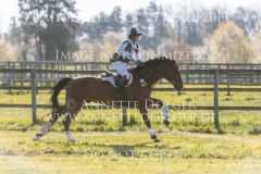 Borky du Ruisseau Sina SIEGLE Radolfzell 2019