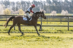 Tiffany Ge Bettina NIEDERER Radolfzell 2019