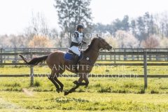 Castellani 3 Hanne HENNING Radolfzell 2019