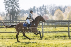 Castellani 3 Hanne HENNING Radolfzell 2019