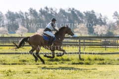 Castellani 3 Hanne HENNING Radolfzell 2019