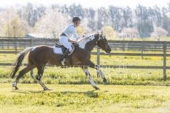 Lisa 1267 Gregor MIGAS Radolfzell 2019