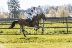 Queastrio Lars SIEGLE Radolfzell 2019