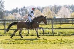 Queastrio Lars SIEGLE Radolfzell 2019