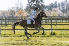 Toblerone Nicole BASIEUX Radolfzell 2019