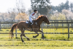 Lucky Little Lope Rabea MEZGER Radolfzell 2019