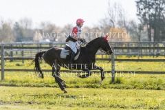 Montano Brigitte PETERHANS Radolfzell 2019