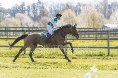 Scavi Anibal GARRIDO VIVEROS Radolfzell 2019