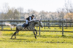 Lamango Antonia BAUMGART Radolfzell 2019