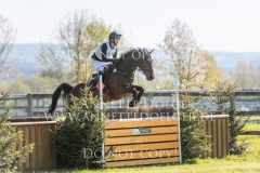 Call Me Tiger 3 Niklas BSCHORER  Radolfzell 2019