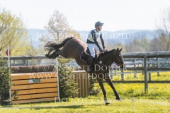 Call Me Tiger 3 Niklas BSCHORER  Radolfzell 2019