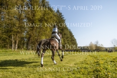 Cambion Elisa ABECK Radolfzell 2019