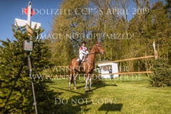 Lucky Little Lope Rabea MEZGER Radolfzell 2019