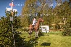 Lucky Little Lope Rabea MEZGER Radolfzell 2019