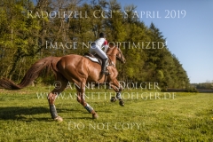 Lucky Little Lope Rabea MEZGER Radolfzell 2019