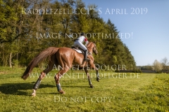 Lucky Little Lope Rabea MEZGER Radolfzell 2019