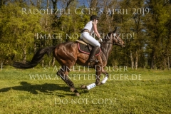 Brosse MetalliqueJulia NEHER