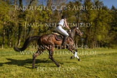 Brosse MetalliqueJulia NEHER