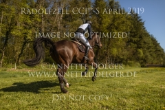 Call Me Tiger 3 Niklas BSCHORER Radolfzell 2019