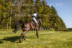 Call Me Tiger 3 Niklas BSCHORER Radolfzell 2019