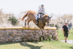 Violine de la Brasserie Eveline BODENMUELLER Radolfzell 2019