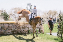 Violine de la Brasserie Eveline BODENMUELLER Radolfzell 2019