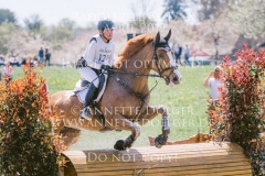 Violine de la Brasserie Eveline BODENMUELLER Radolfzell 2019