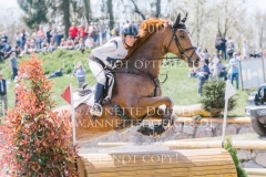 Violine de la Brasserie Eveline BODENMUELLER Radolfzell 2019